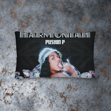 Load image into Gallery viewer, Exclusive Pillow