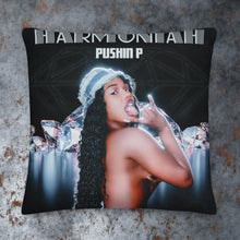 Load image into Gallery viewer, Exclusive Pillow